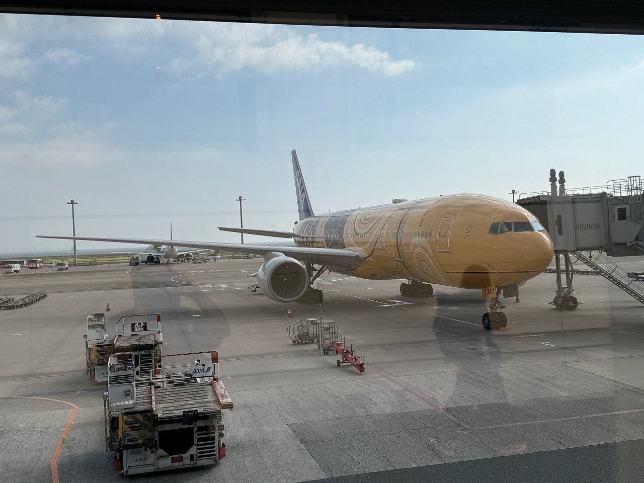 2025年メルクリンターゲレポートの写真