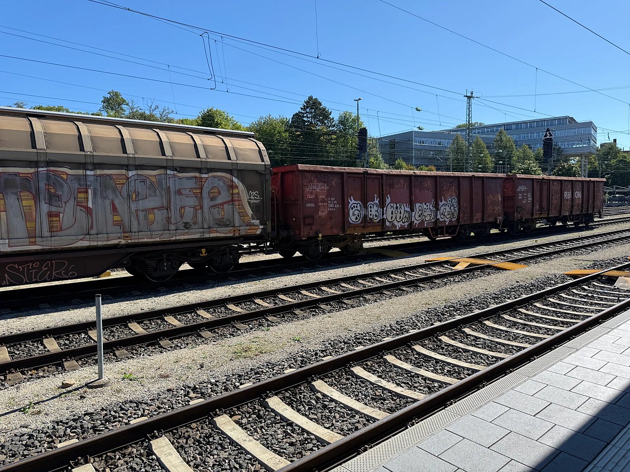 2025年メルクリンターゲレポートの写真