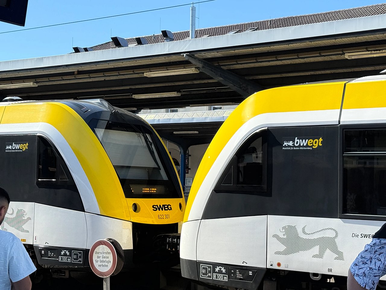 2025年メルクリンターゲレポートの写真