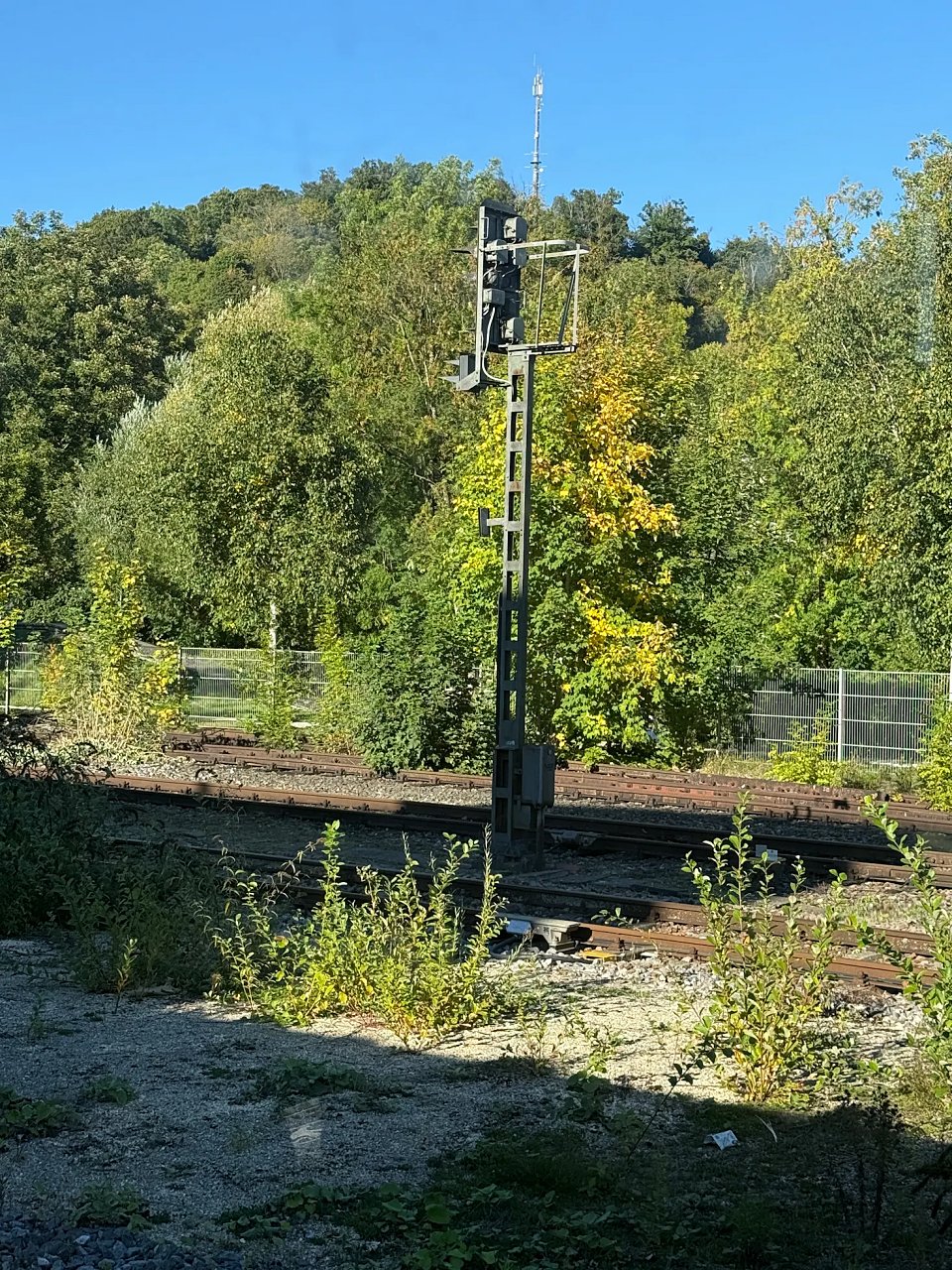 2025年メルクリンターゲレポートの写真