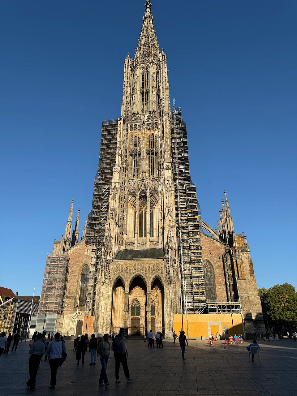 2025年メルクリンターゲレポートの写真