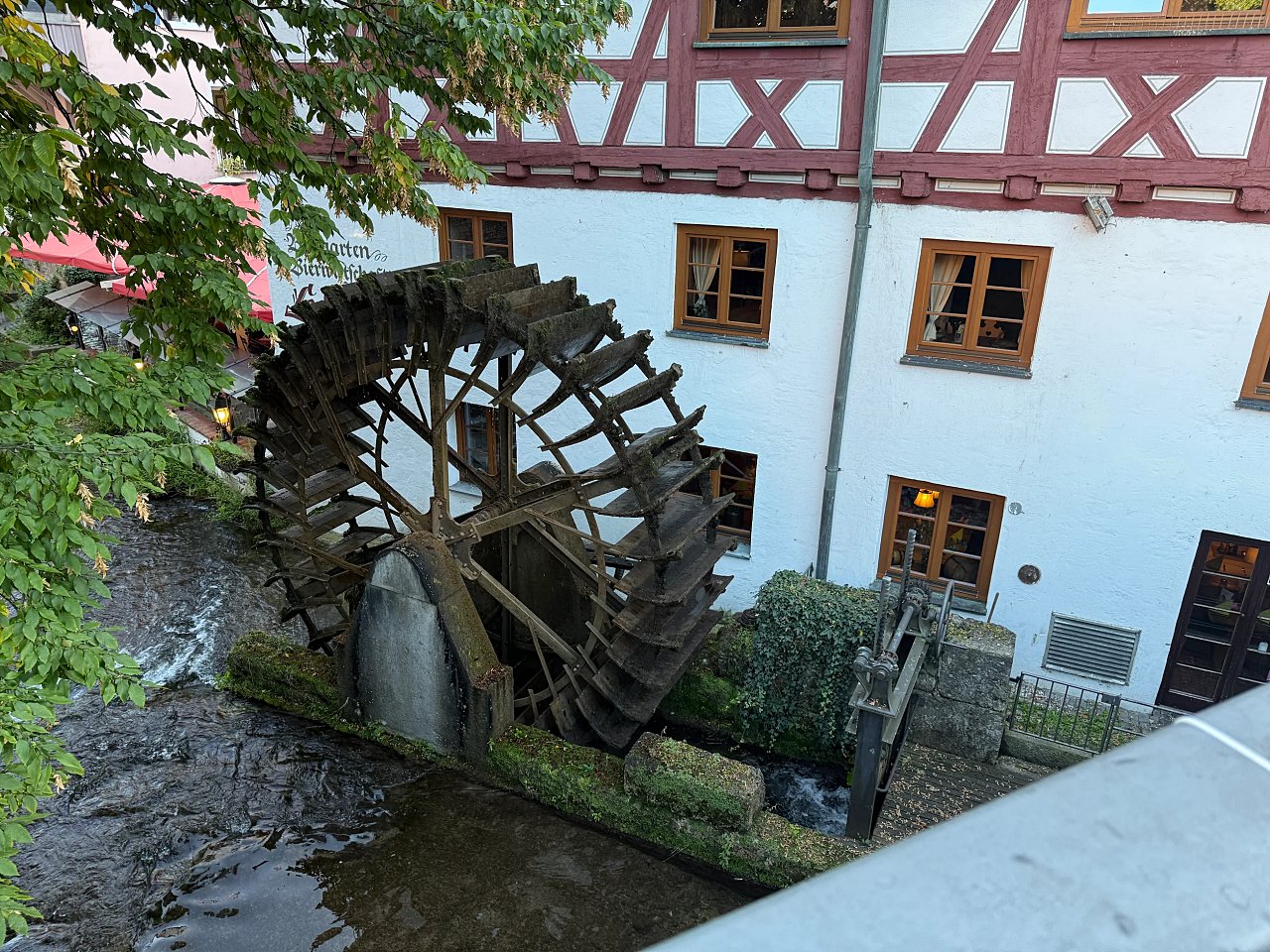 2025年メルクリンターゲレポートの写真