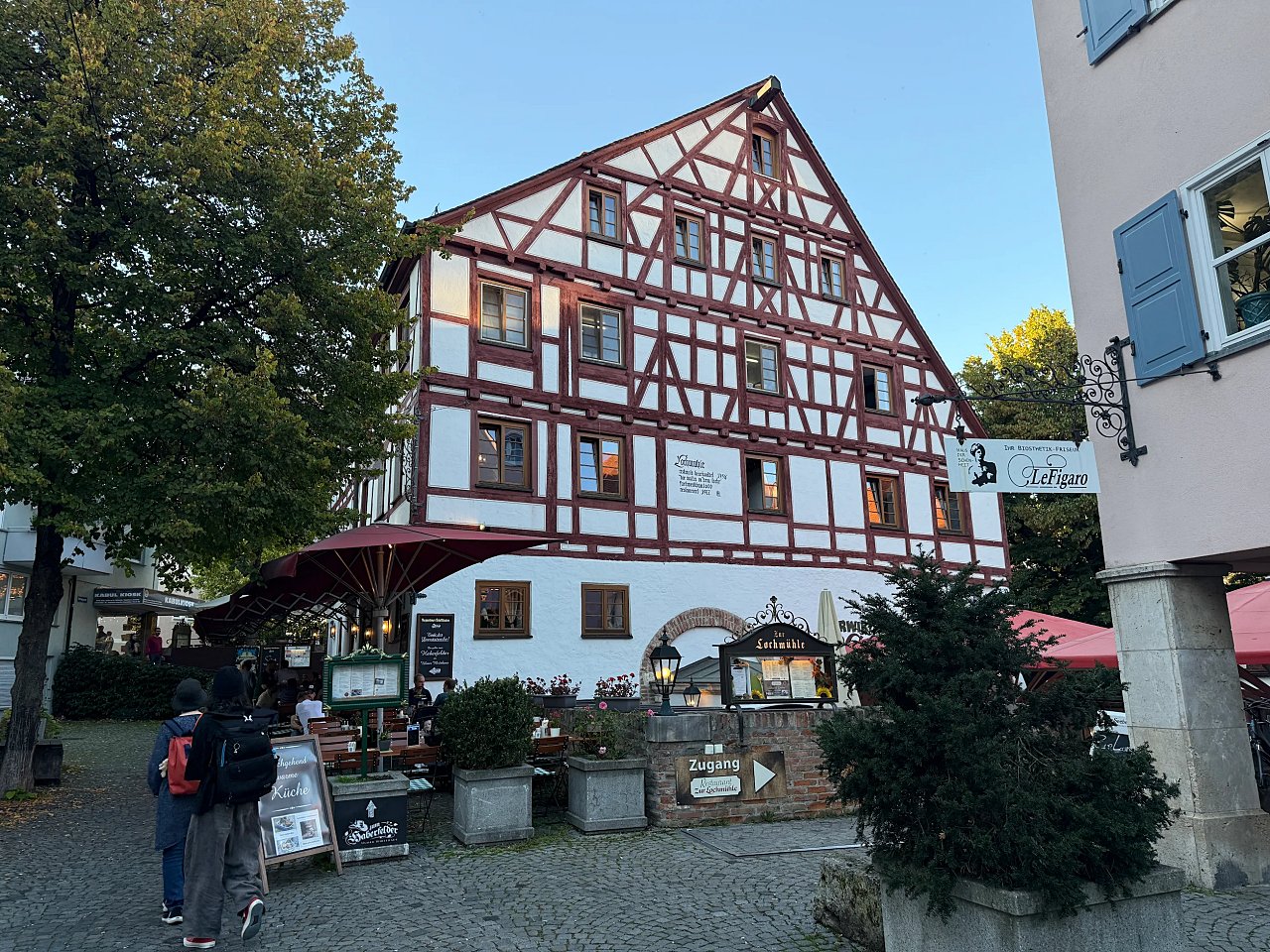 2025年メルクリンターゲレポートの写真