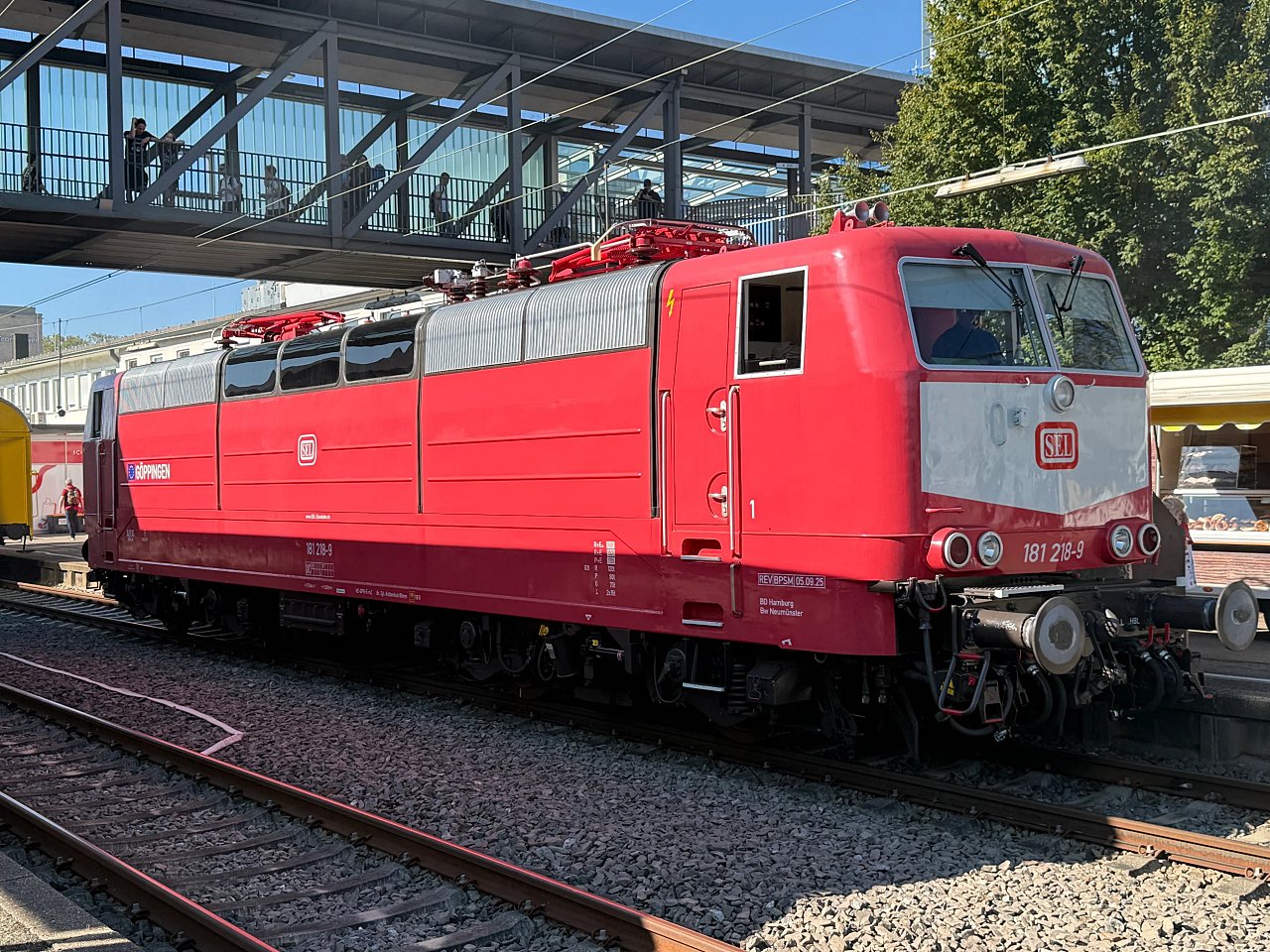 2025年メルクリンターゲレポートの写真