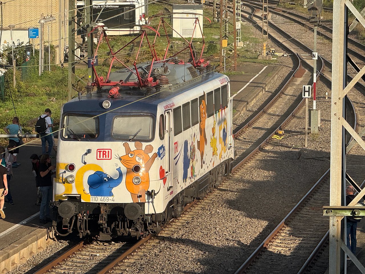 2025年メルクリンターゲレポートの写真