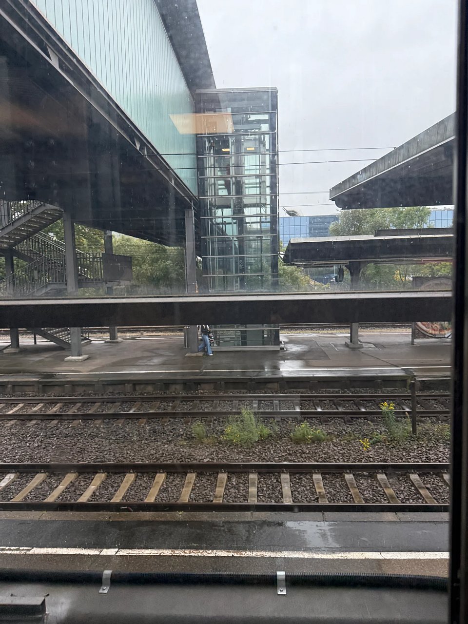 2025年メルクリンターゲレポートの写真