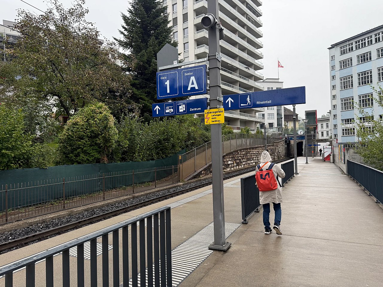 2025年メルクリンターゲレポートの写真