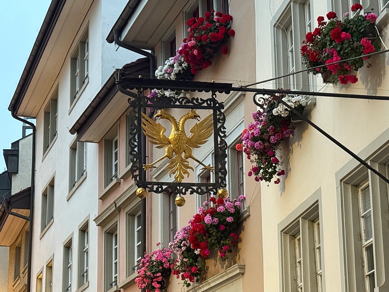 2025年メルクリンターゲレポートの写真