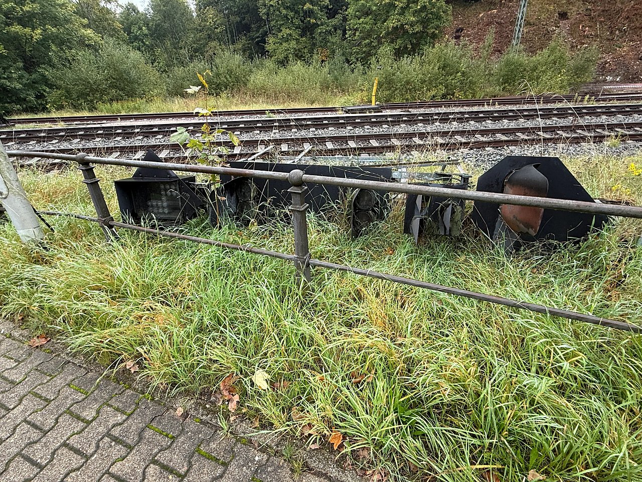 2025年メルクリンターゲレポートの写真