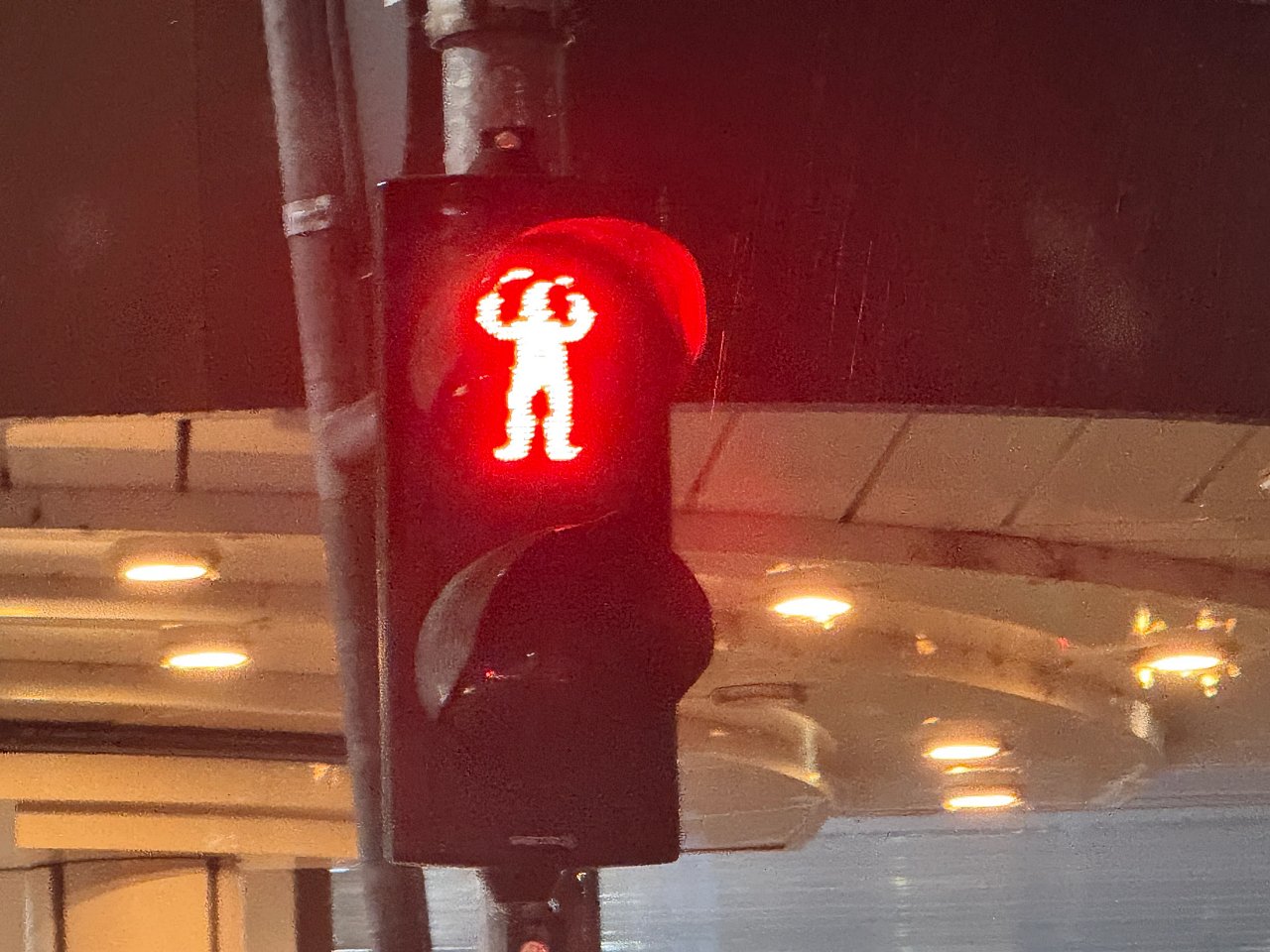 2025年メルクリンターゲレポートの写真