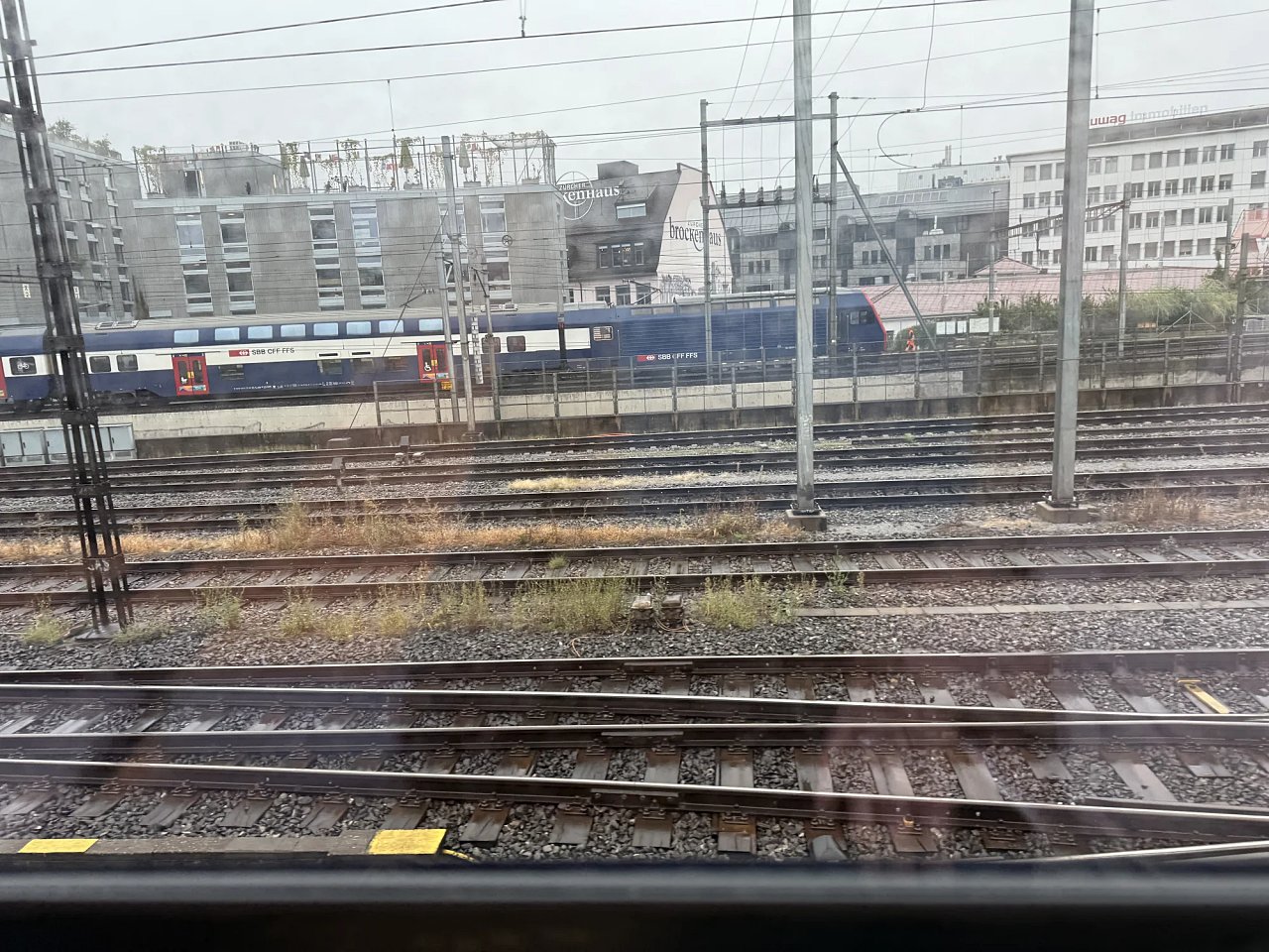 2025年メルクリンターゲレポートの写真