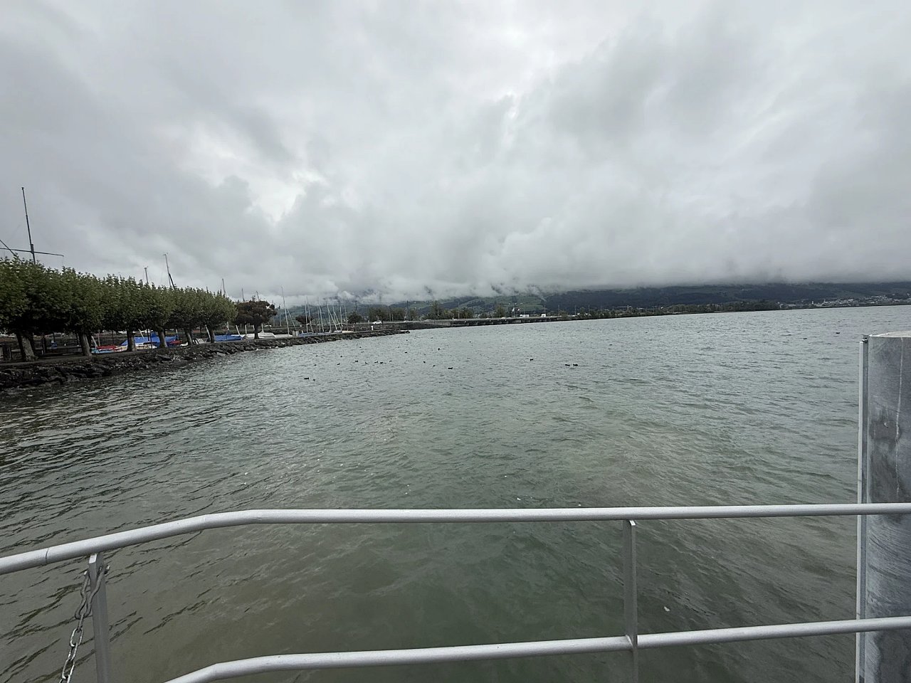 2025年メルクリンターゲレポートの写真