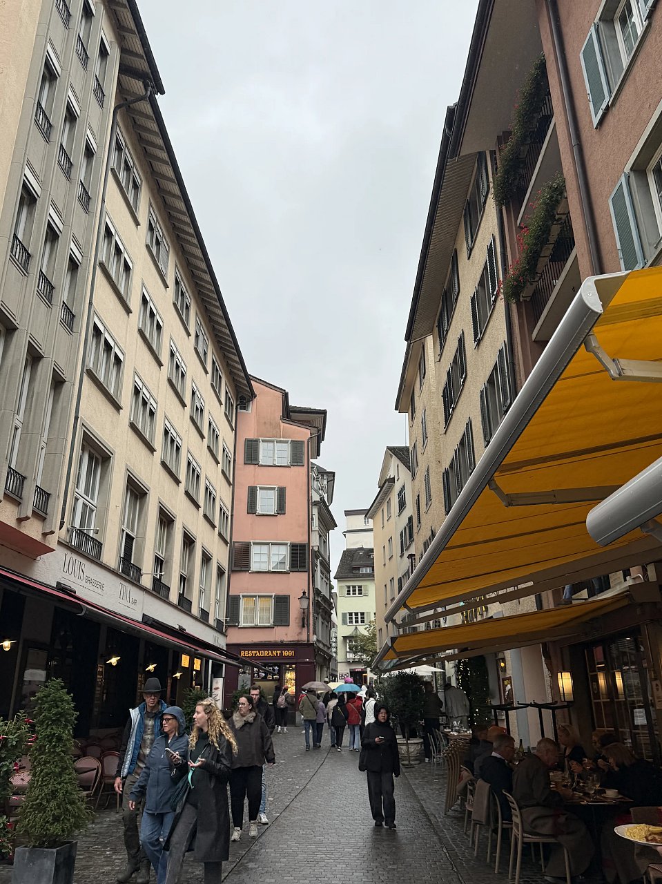 2025年メルクリンターゲレポートの写真