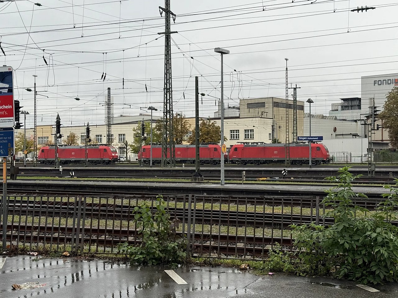 2025年メルクリンターゲレポートの写真